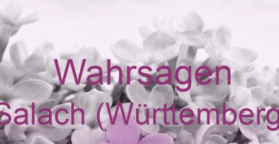 Wahrsagen Salach (Württemberg) | Top-Experten für Kartenlegen, Wahrsagen, Hellsehen, Zukunftsdeutung.